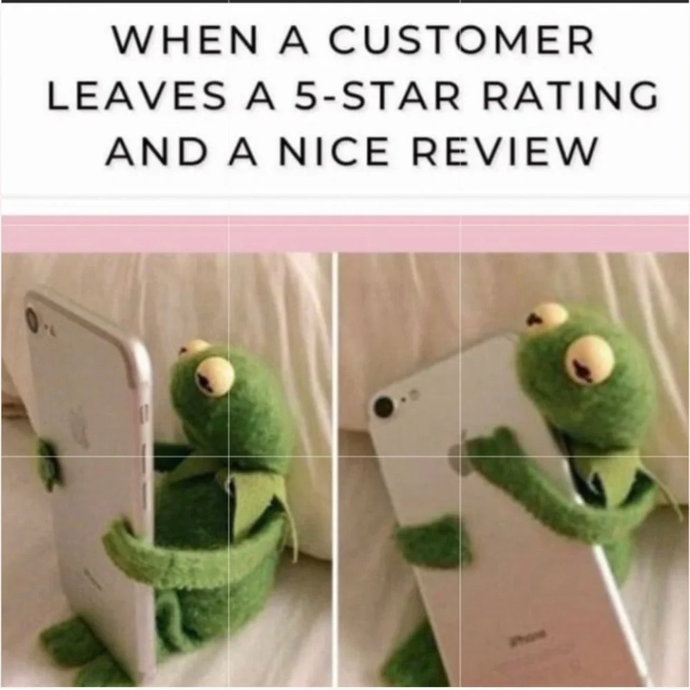 Brahmin small Finley embrace Melbourne - Picture 12 of 12